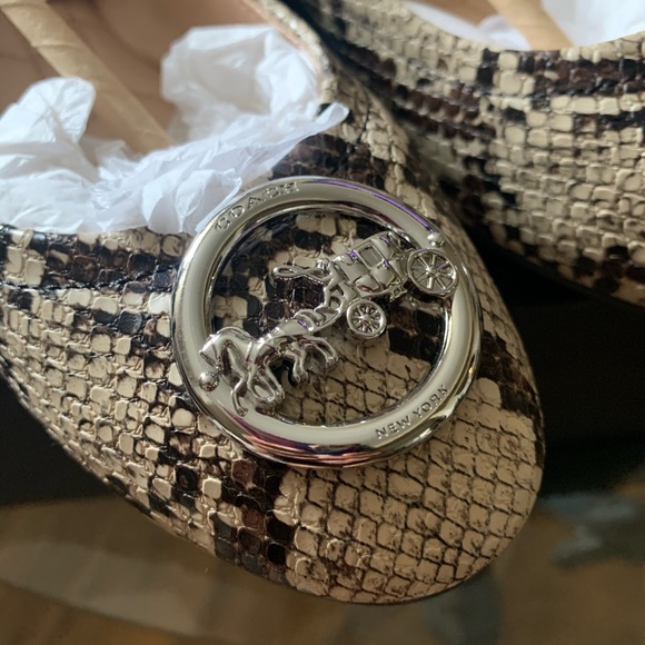 Coach Bailey Ballet Flats - Picture 5 of 13